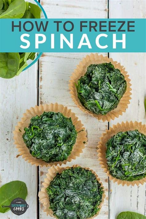 Learn all the tips and tricks for freezing spinach to save ...