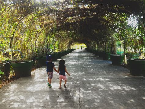 We welcome you to iloilo city, philippines. Garin Farm, San Joaquin, Iloilo - Curious Little Kat