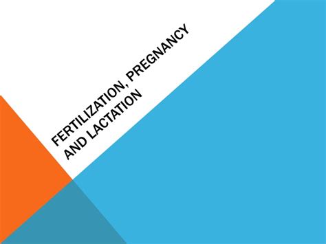 Ppt Fertilization Pregnancy And Lactation Powerpoint Presentation Id9472024