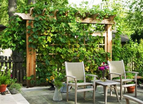 Privacy fences have many functions. Trellis Ideas - Backyard Privacy Ideas - 11 Ways to Add ...