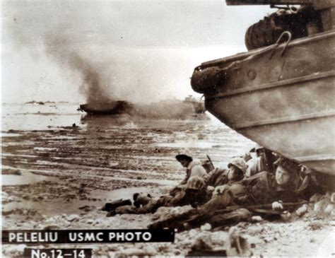 Marines At Peleliu Battle Of Peleliu War Of The Pacific Marines