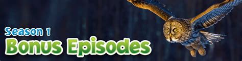In today's video we are going to show you. Podcast Bonus Episodes S1 | Earth Rangers Wild Wire Blog
