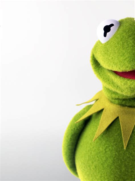 Free Download Muppets Kermit Frog Desktop Wallpaper Download The