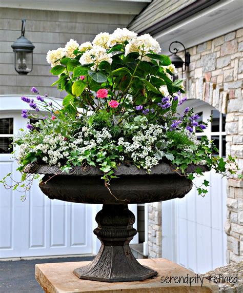 Container Garden Summer Urn Planter Container Garden Hydrangea