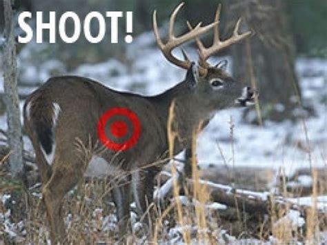 Which Kill Zone Works Best For You Missouri Whitetails Your Missouri Hunting Resource