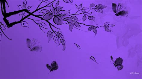 Purple Butterfly Wallpaper ·① Wallpapertag