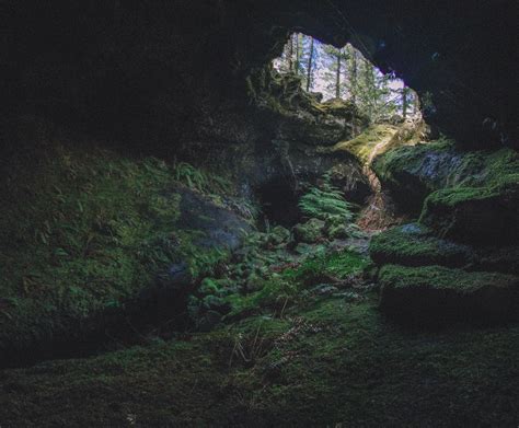 A Cave In The Forest Capture The Flag 2022 Camp Half Blood Rp