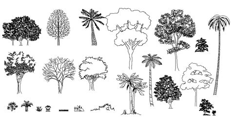 A large tree in plan view. Tree AutoCAD Blocks Free Download - Cadbull