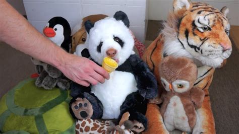 Panda Eats Ice Cream Cone Funny Dog Maymo Youtube