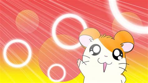 Fakta Hamtaro Ini 4 Hal Menarik Dari Tokoh Kartun Hamster Jangan