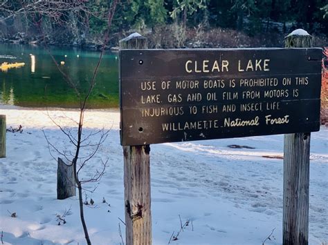 Clear Lake Resort In The Willamette National Forest