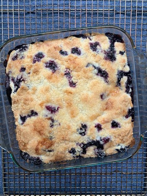 Funnel cakes are typically served plain with powdered sugar but can also be served with jam / jelly , cinnamon , chocolate , fresh fruit , or other toppings. Recipe Review: Alton Brown's Blueberry Buckle | Kitchn