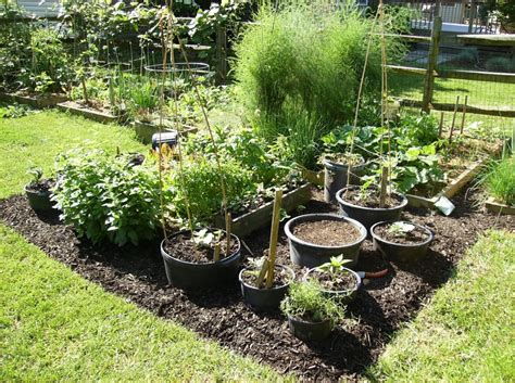 Container Gardening For Effective And Functional Planting