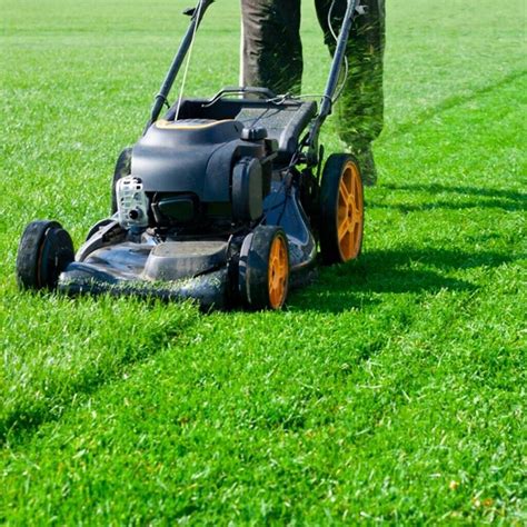 The Importance Of Mowing Your Lawn Move To A New Phase