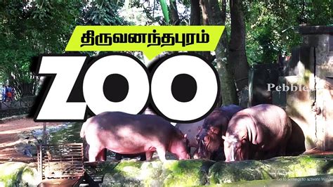 Trivandrum Zoo Zoological Park Thiruvananthapuram Zoo In Kerala