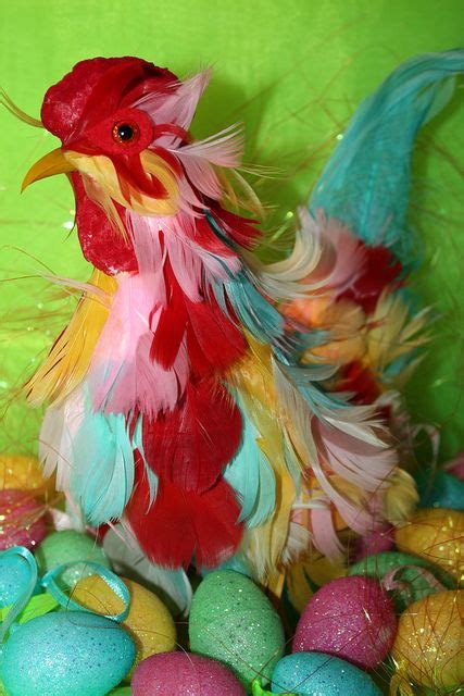 15 Rainbow Chickens Ideas Rainbow Chicken Chickens Rainbow