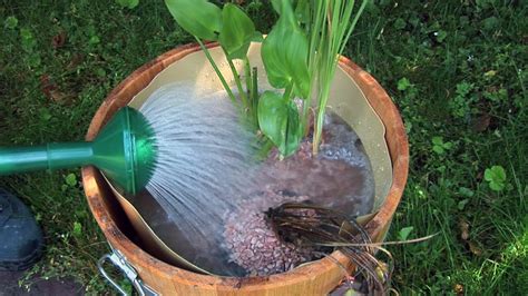 Tolle ideen im internet, wie sie einen japanischen garten anlegen können. Miniteich Anlegen Anleitung. miniteich anlegen garten ...