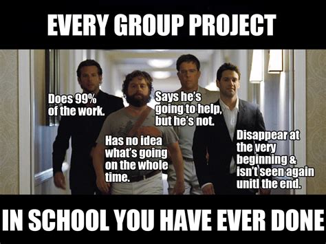 every group project i only wish my partners consisted of bradley cooper zac galifinakis