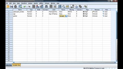 Setting Up Variables In An Spss Data Set Youtube