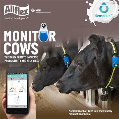 Cow Monitoring Technology For Heat Health Detection At Rs 350000 In