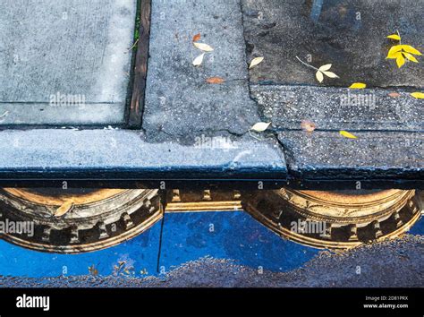 top of row houses reflected on an early autumn morning in a street puddle in queens new york
