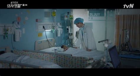 국내방송, 슬기로운 의사생활, wiselifeofdocs community portal dcinside. 방송'슬기로운 의사생활' 조정석, 아내 외도→동생 사고 ...