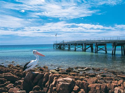 Its a small continent, it has its own tectonic plate, and they have their own distinct culture. How to Spend the Perfect Weekend on Kangaroo Island ...