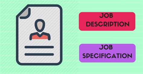 Job Description And Specification Fandb Staff Organisation Hmhub