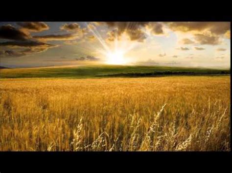 Mp3 320kbps, 8.35 мб mp3 128kbps, 3.33 мб mp3 64kbps, 1.66 мб. Kevin Kern - Fields Of Gold - YouTube