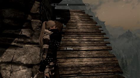 FNIS Issues   Animation Issues [SOLVED] - Skyrim Romance 