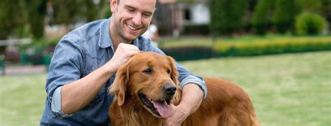 American pet hospital offers the modesto animal community emergency veterinary services as well as medical, surgical, and dental veterinary care. Resources for pet owners | American Veterinary Medical ...