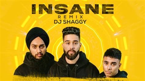 Insane Ap Dhillon Remix Dj Shaggy Mp3virus Official Youtube