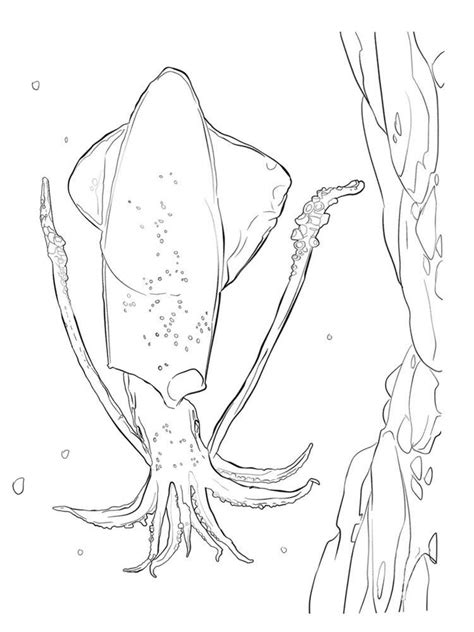 This prehistoric squid is related to the colossal squid, the biggest animal on the planet. Minecraft Squid Coloring Pages. Squid is a type of aquatic ...