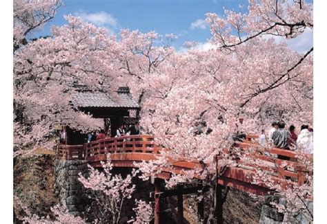 長野・伊那でデート旅｜桜の名所・高遠城址公園へ｜みんなの旅プラン【旅色】｜旅行プランは旅色で。