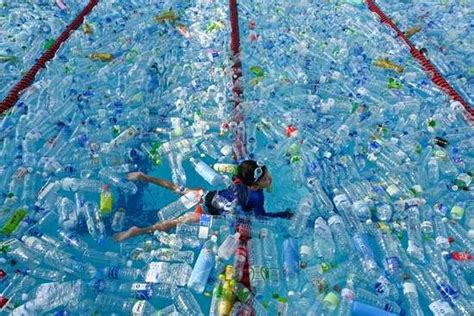 New Investigation Shows The Majority Of Recycled Us Plastics Are
