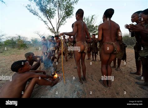Ju Hoansi Or San Bushmen Hunter Dancing Around Camp Fire At Grashoek Village They Are Members