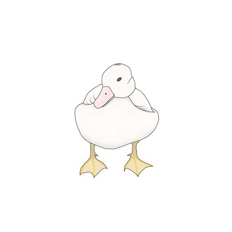 Front View Of Duck Image Duck Walk Animal Png Transparent Clipart