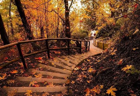 7 Metro Vancouver Staircase Trails That Feel Like A Mini Walk Through