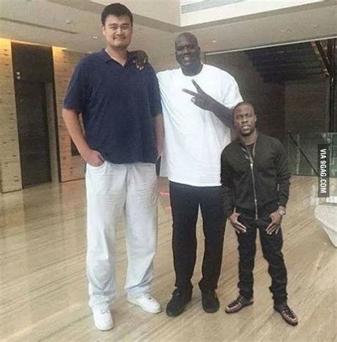 The differences between Yao Ming, Shaquille O'Neal and Kevin Hart. - 9GAG