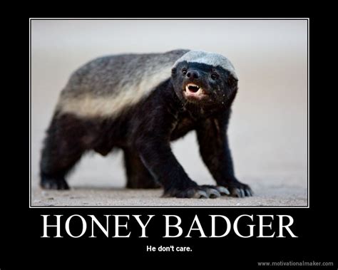 Ripple Junction Honey Badger Dont Care Greeting Card