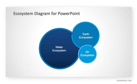 Spin To Win Powerpoint Diagram Template Slidemodel Hot Sex Picture