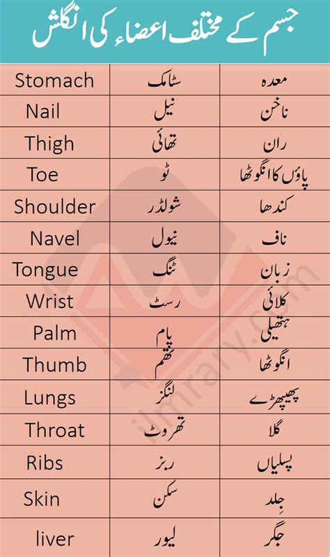 Vocabulary For Parts Of Body With Urdu And Hindi Meanings Body Parts