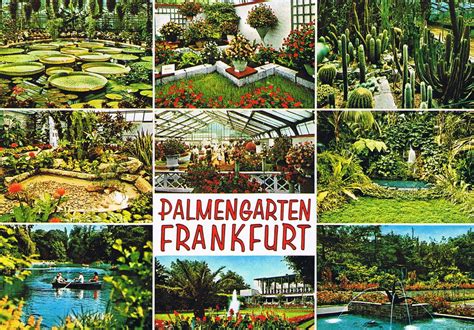 Find the perfect palmengarten frankfurt stock photos and editorial news pictures from getty images. To Europe With Kids: Palmengarten in Frankfurt