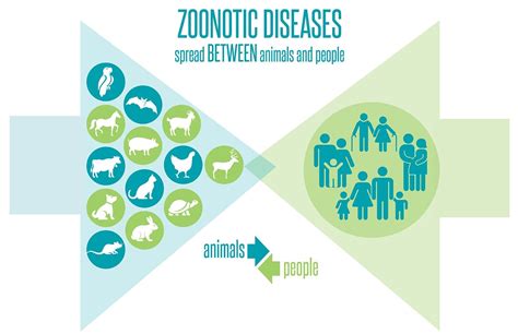 How Do Germs Spread Between Animals And People