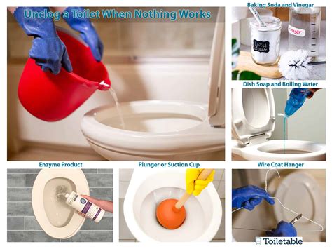 Unclog A Toilet Like A Pro With Tips And Tricks