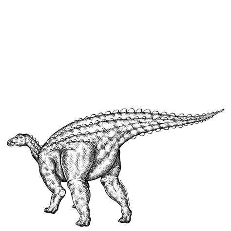 Scelidosaurus Drawing By Karl Addison