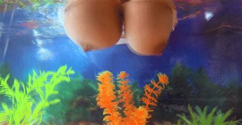 Fish Titties Porn Pic Eporner