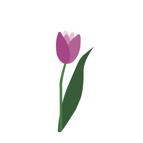 Download Tulip svg for free - Designlooter 2020 👨‍🎨