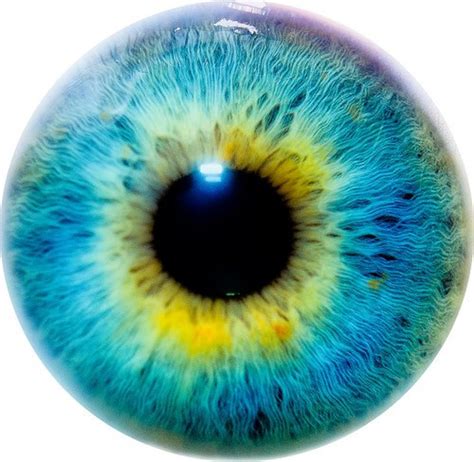 Unique And Rare Eye Colors Hubpages