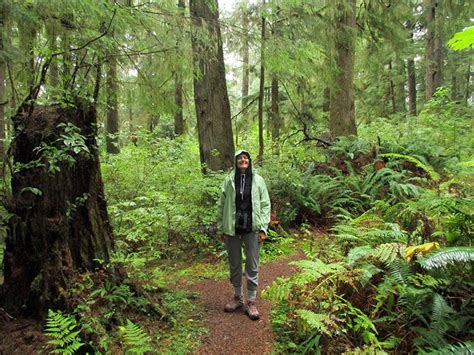 Maybe you would like to learn more about one of these? Christi in Olympic National Park (With images) | National ...